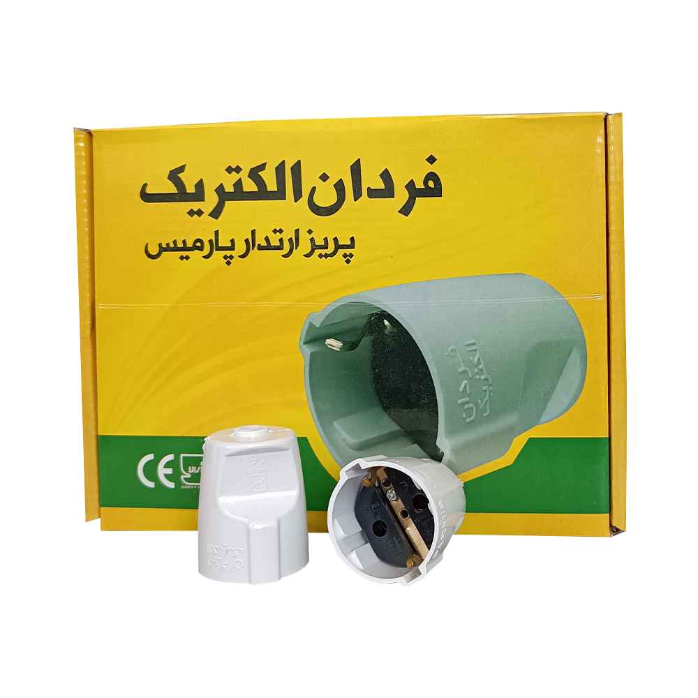 مادگی خانگی پارمیس فردان